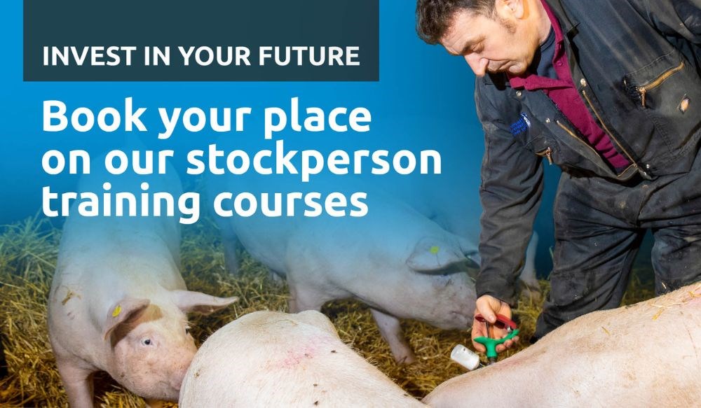 Promo for pork stockperson training courses.